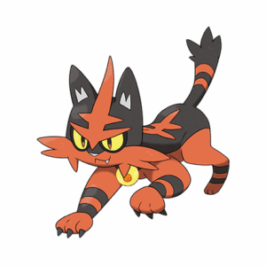 Torracat